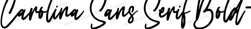 Carolina Sans Serif Bold字体转换